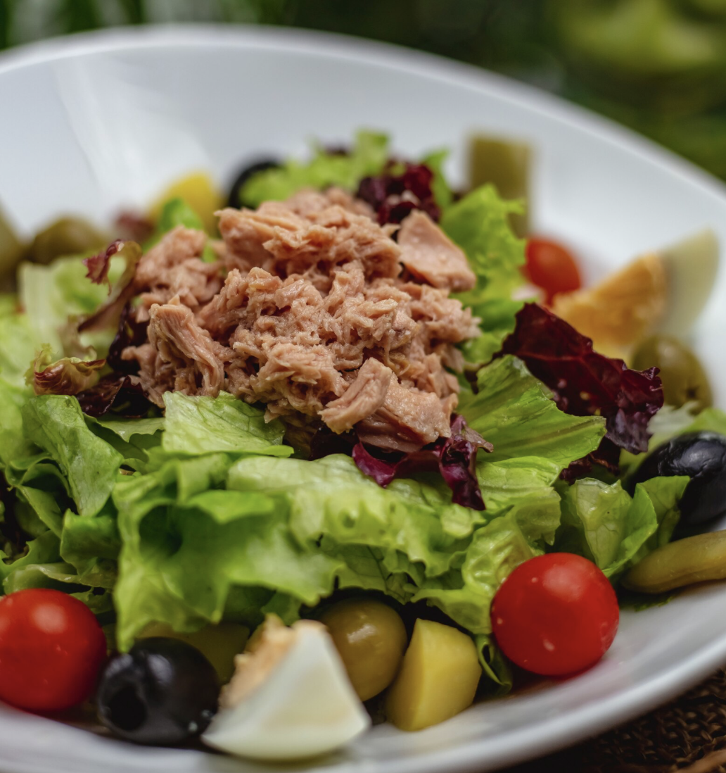 Ton Balıklı Salata